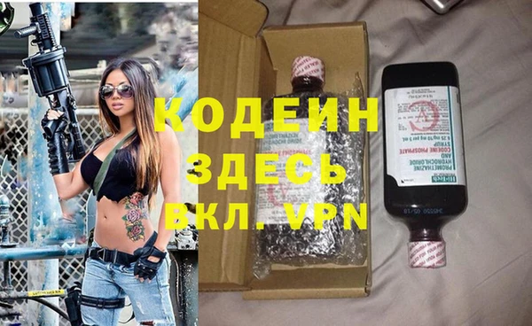 хмурый Магас