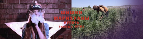 хмурый Магас