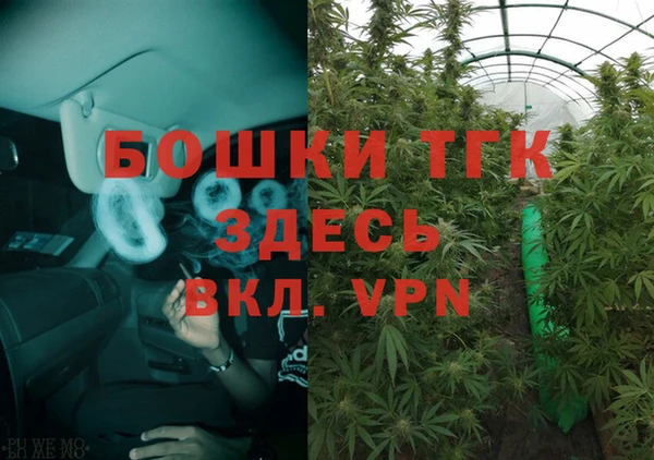 хмурый Магас