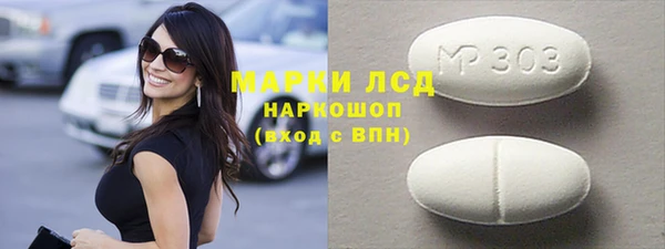 хмурый Магас
