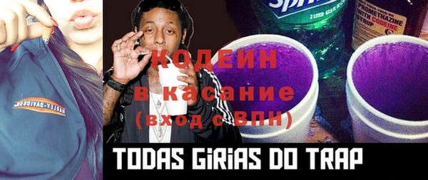 хмурый Магас