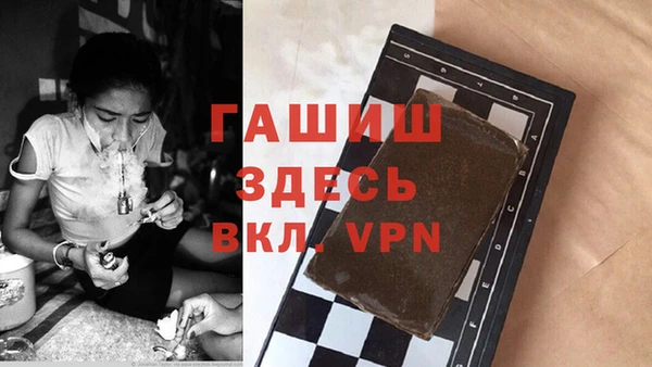 хмурый Магас