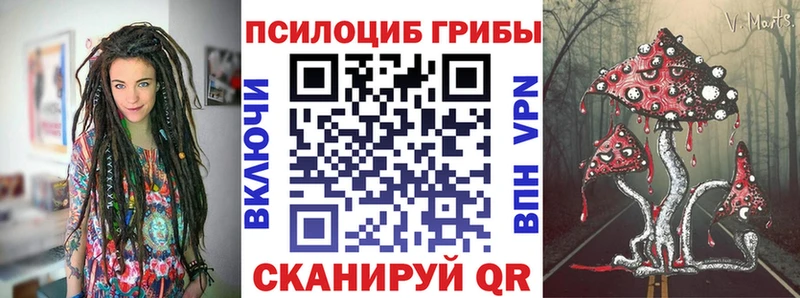 omg сайт  Орехово-Зуево  Псилоцибиновые грибы Cubensis 